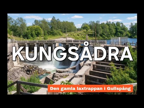 Podd Del 2 - Om kungsådran & laxen i Gullspångsälvens vattensystem