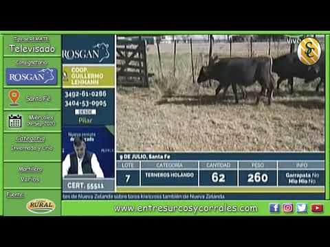9-9-20 - Remate Televisado de ROSGAN  - Santa Fé