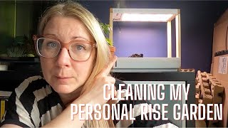 CLEANING MY PERSONAL RISE GARDEN + planting some new heirloom seeds | Growing food in small places