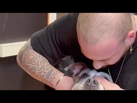 The man grabs the dog with all his strength. The animal's reaction leaves everyone speechless!