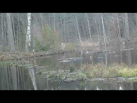 Julkalendern lucka 3