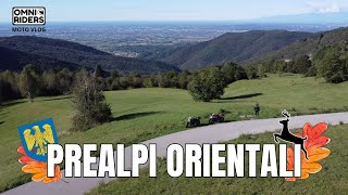 Video 23