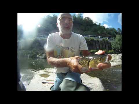 FIUME BISENZIO ANCORA CAVEDANI