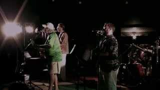 Tom Watt - "Dance the Night Away" (live Mavericks cover)