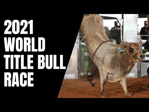 Top Bulls Of The 2021 Season So Far