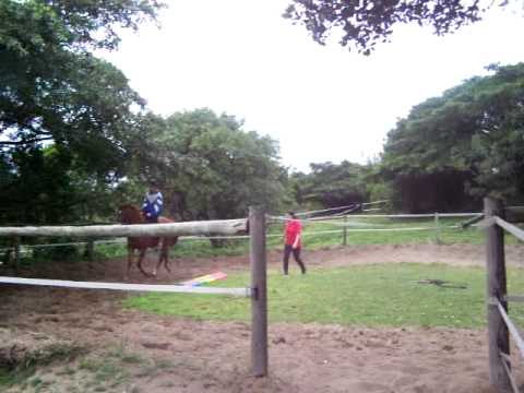 Bolting horse .nasty fall