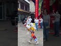 Small Lion Dance Performer