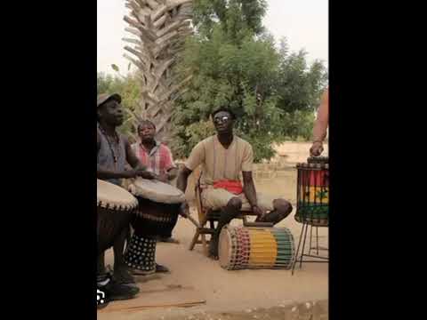 Kapaya dauphin de  Rotoroto