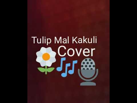 Tulip Mal kakuli Coverd By Nipun