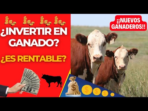 , title : '¿ES RENTABLE INVERTIR EN EL GANADO?'