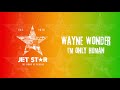 Wayne Wonder - I'm Only Human (Official Audio) | Jet Star Music