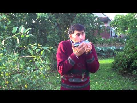 Sasa Brizinskas Vydmantai August 2012