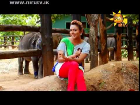 Grand Udawalawe Safari Resort - TRAVEL AND LIVING EP 73