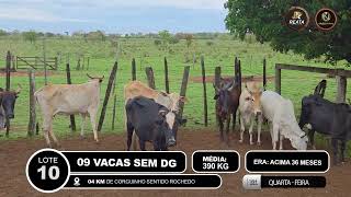 Vídeo LOTE 10