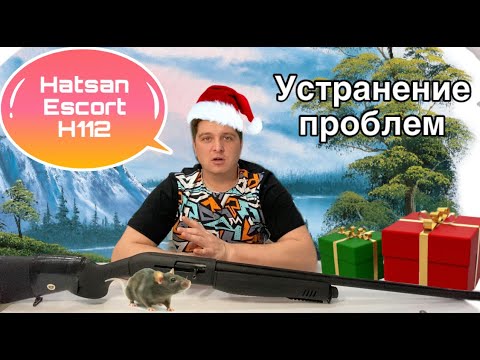 решил проблему Hatsan escort H-112