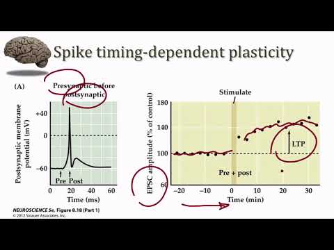 download lagu mp3 mp4 Stdp, download mp3 Stdp free download, download mp3 Stdp