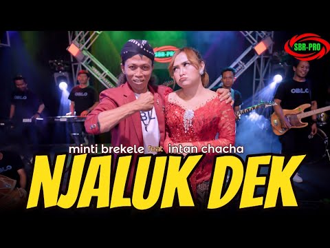 INTAN CHACHA FEAT MINTI BREKELE - NJALUK DEK ( Original Live Vedio Music )