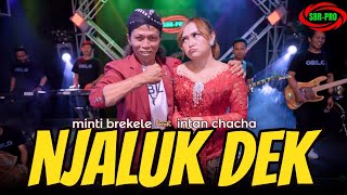 Download lagu INTAN CHACHA FEAT MINTI BREKELE - NJALUK DEK ( LIVE MUSIC  Video ) mp3 Download lagu INTAN CHACHA FEAT MINTI BREKELE - NJALUK DEK ( LIVE MUSIC  Video ) mp3