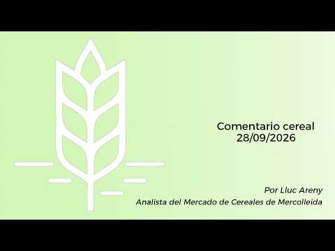 Comentario cereal - 28/09/2026