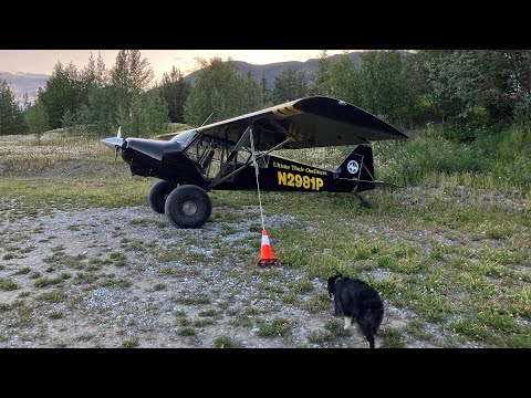 Super cub Landing at a remote air strip on the Chitina river Alaska