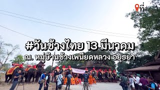 วันช้างไทย ณ.หมู่บ้านช้าง เพนียดหลวง อยุธยา