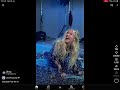 We Are Finally Getting A Freya Skye Ep It S Called Stardust