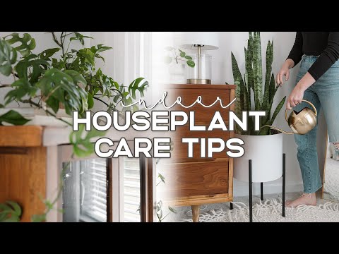 HOUSEPLANT CARE TIPS (For Beginners) 🪴 | 10 Habits To Make Your Indoor Plants THRIVE