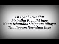 LYRICS Soul Of Varisu Song Varisu Soul Of Varisu Song With Lyrics