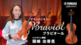 Braviol バイオリンセット V7SG 4/4 送料無料 | サウンドハウス Braviol バイオリンセット V7SG 4/4 送料無料 | サウンドハウス