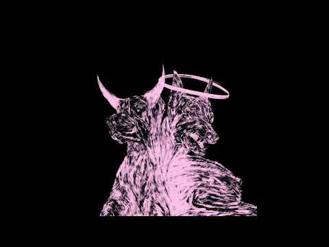 cr1tter - Shaun White