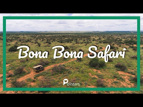 Bona Bona Safari — N12 Treasure route | Pointers Travel / Republic of South Africa