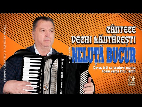 NELUTA BUCUR . Cantece vechi lautaresti [3] (oficial audio)