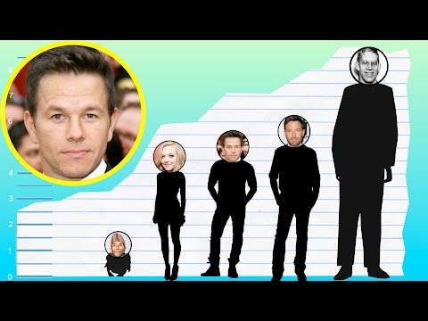 How Tall Is Marky Mark
