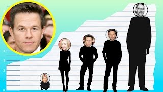 How Tall Is Mark Wahlberg - Height Comparison!