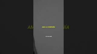 Download lagu Angels like you - Miley Cyrus mp3 Download lagu Angels like you - Miley Cyrus mp3