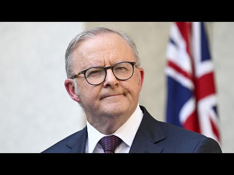 'A lot of nervousness': Labor told ‘not to sell out’ Australian farmers in EU trade deal