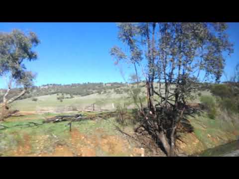 Enjoying countryside from the "Indian Pacific" train near Toodyay