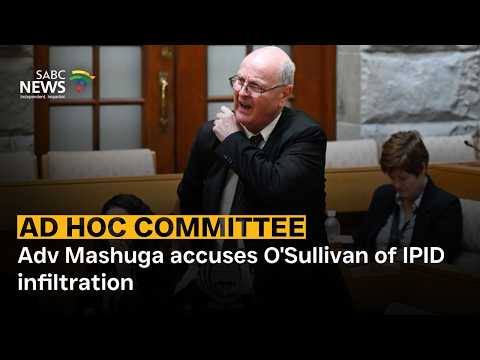 Ad Hoc Committee | Adv Mashuga accuses O'Sullivan of IPID infiltration