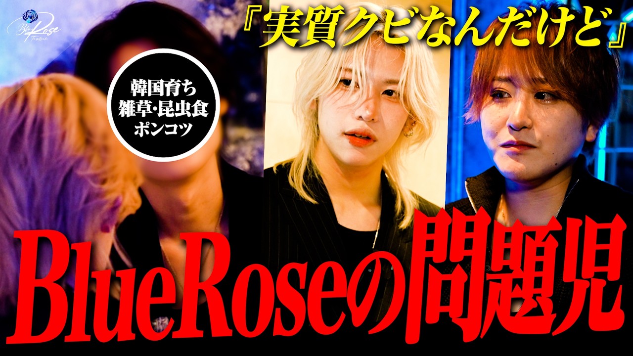 ”度重なる問題行動”ブルロの問題児になったホストの結末【天使ニア】【冬月グループ】【桜木大夢】