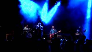 Perturbazione - chiticapisce @Goose Festival 2013