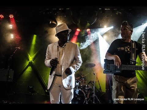 Money Man - Rod Taylor & Positive Roots Band @ La Cave Dimière, Argenteuil