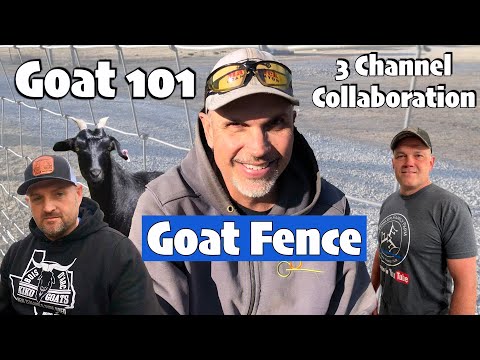 , title : '4 Types of Goat Fence with Cost, Pros and Cons | 3 Channel Collaboration  About Goats'