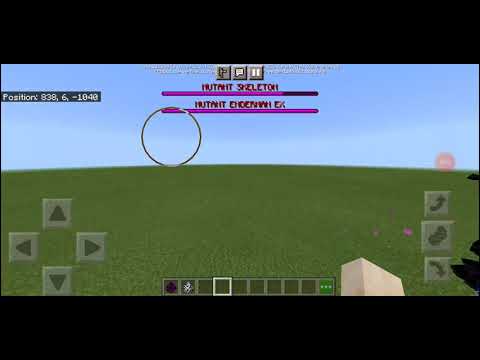 Mutant skeleton vs Mutant Enderman ex