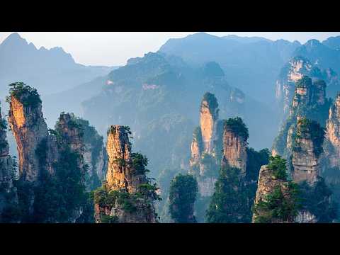 Live: China's Zhangjiajie National Forest Park, a wonderland of peaks and forests