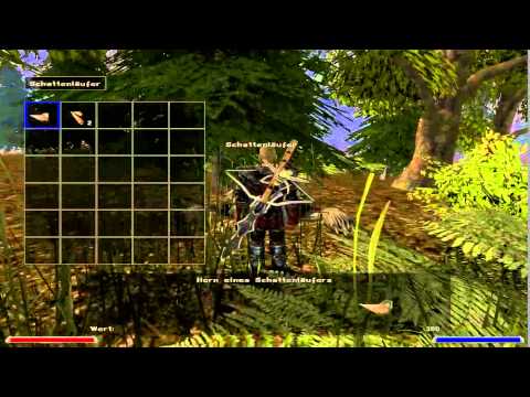 Let's Play Gothic 2 Die Nacht des Raben #112 Suchende in Sekobs Haus