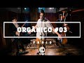 Orgânico #3 - "Novo Jazz" - Froid [ Prod. Leo Casa 1 ]