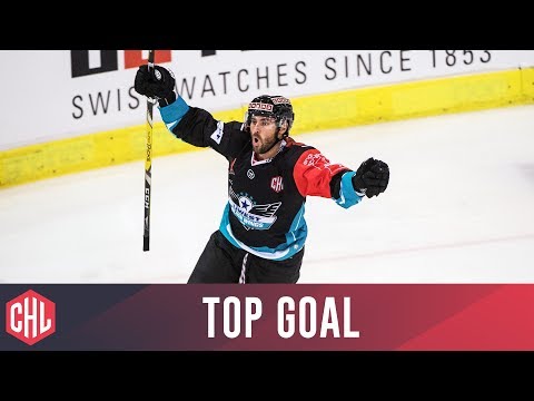 Dan DaSilva - Black Wings Linz | Top Goal 2016/17