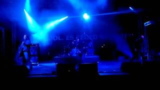 Körhinta Moby Dick bei Volt 2011