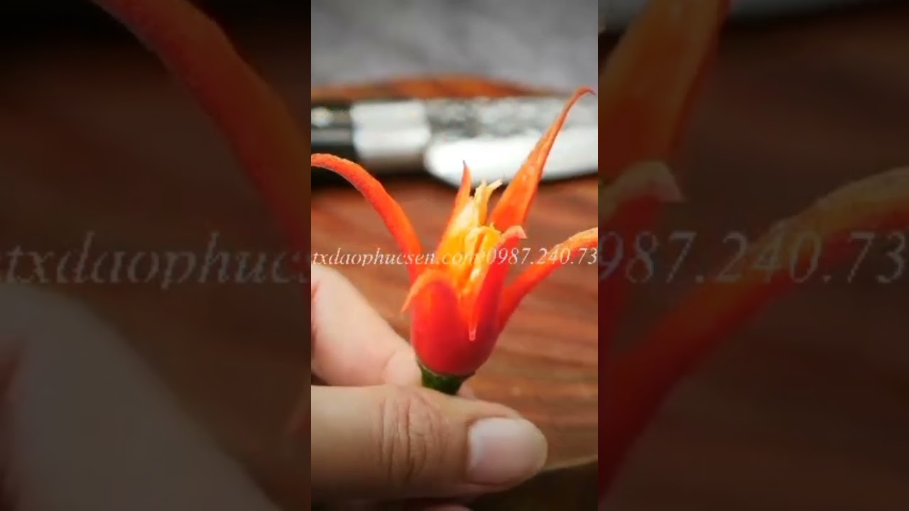 Dao lọc thái nhỏ - Thép nhíp ô tô - Cán mun khâu inox G13TM sắc bén hàng chuẩn chính hãng của DAO VIP - HTX DAO PHÚC SEN