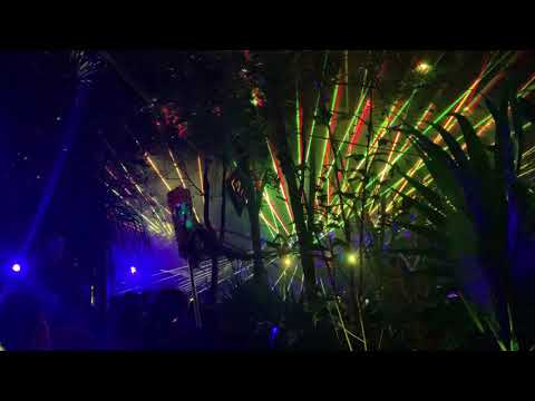 Satori (Live) @ Day Zero 011119 6